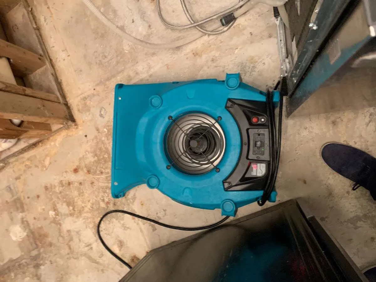 Air mover drying equipment for Mold Remediation & Removal in Eldersburg